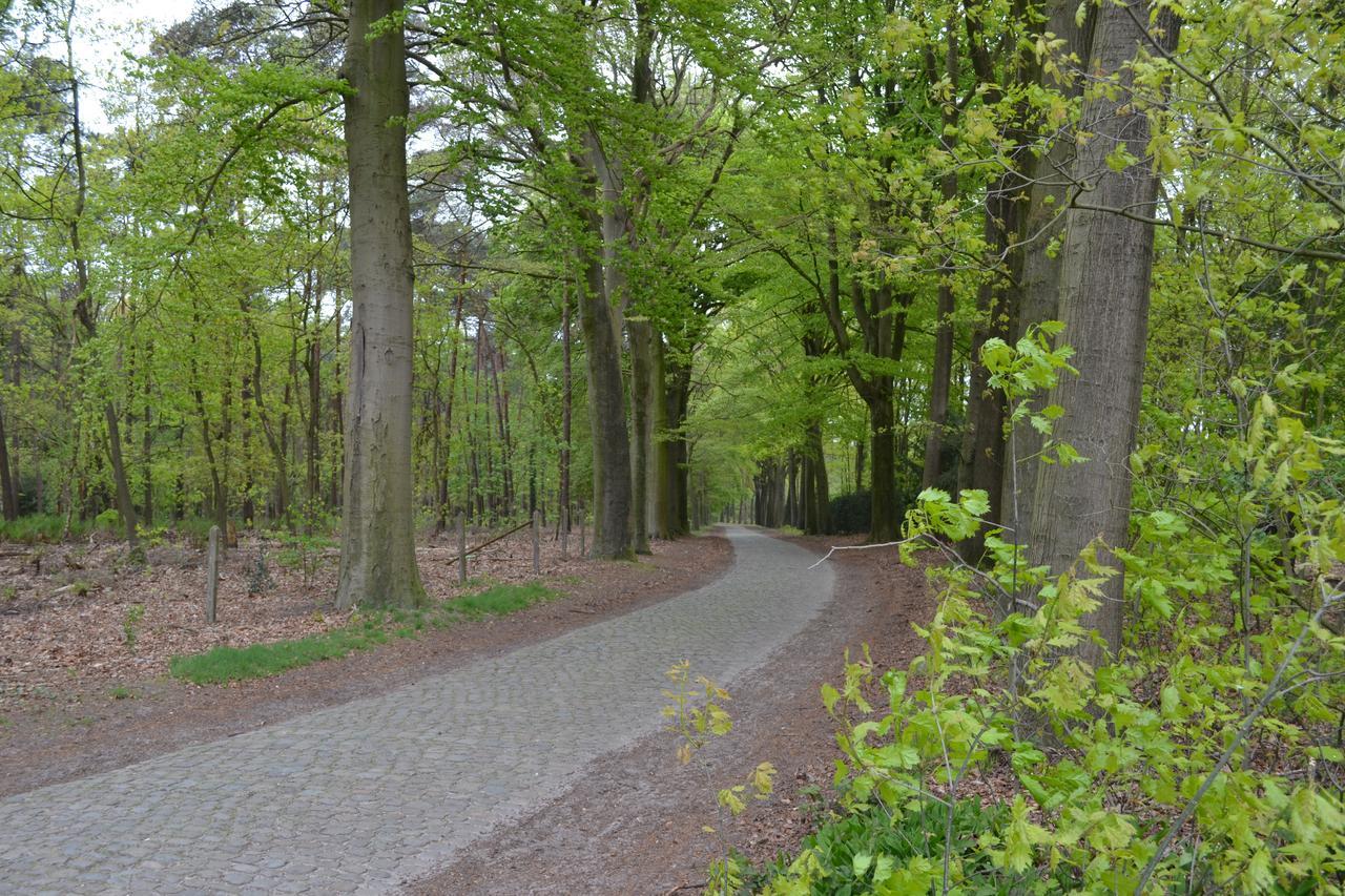 B&B 'T Heirweggoed Assenede Exterior photo